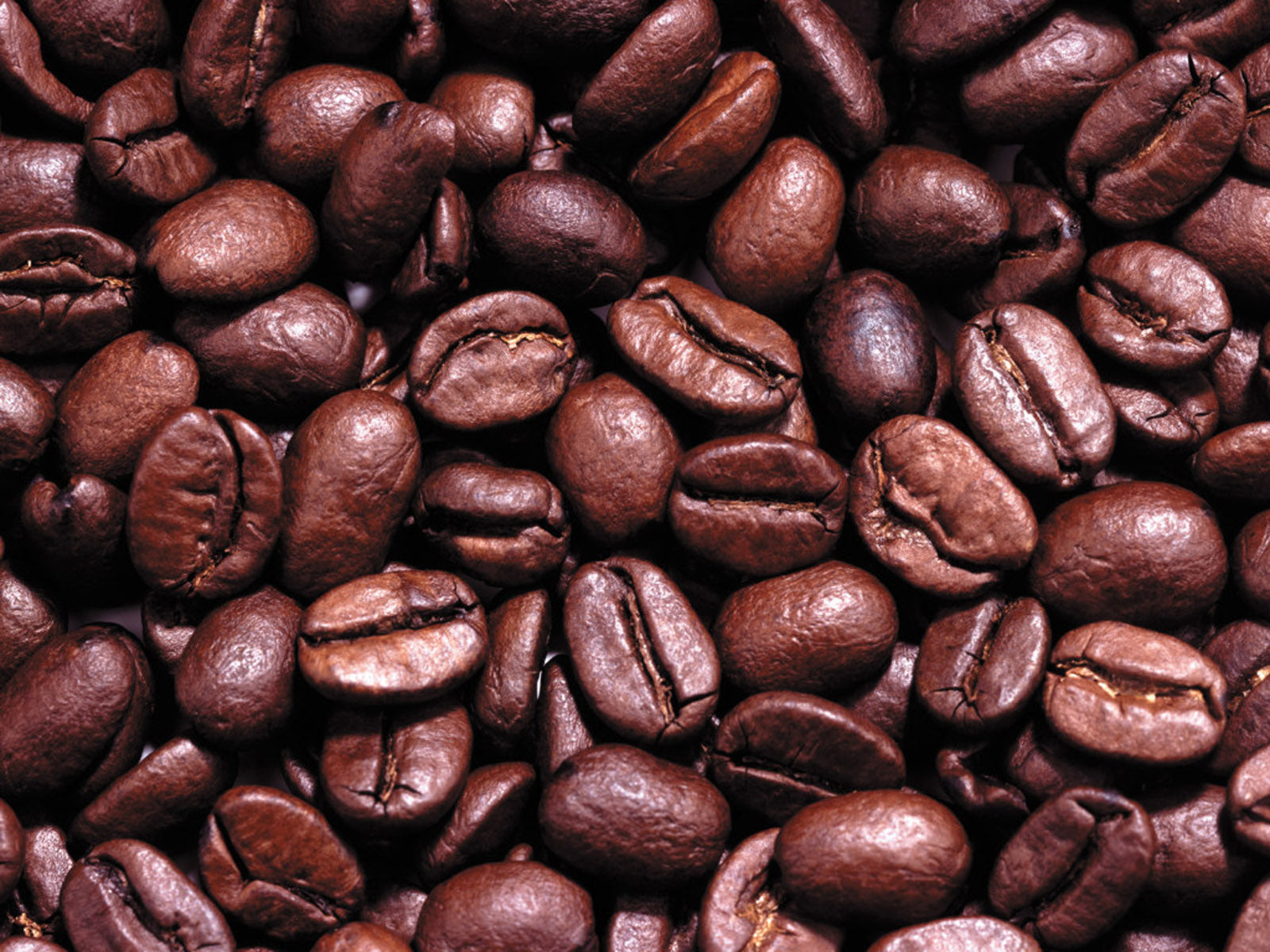 Lavazza Coffee Beans